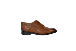 Ted Baker, Arniie, Brown leather male shoe with spot detailing and stitching detailing, brown laces with pointed toes, The Shoe Curator