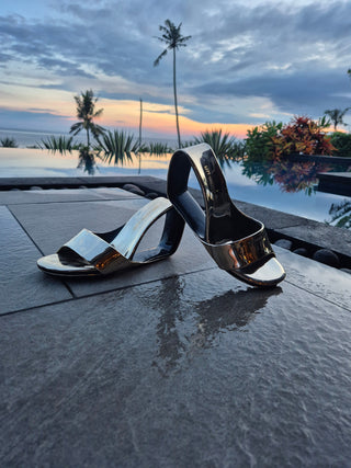 What We’ve Been Up To...