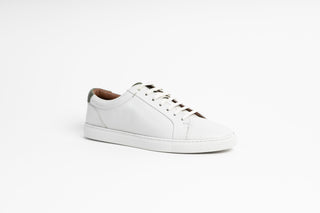 Ted Baker, Udamo, White leather sneaker with white laces and black on the heel, The Shoe Curator