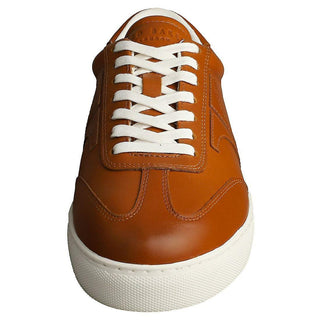 Ted Baker, Robertt, Tan leather sneakers with white soles and laces, The Shoe Curator